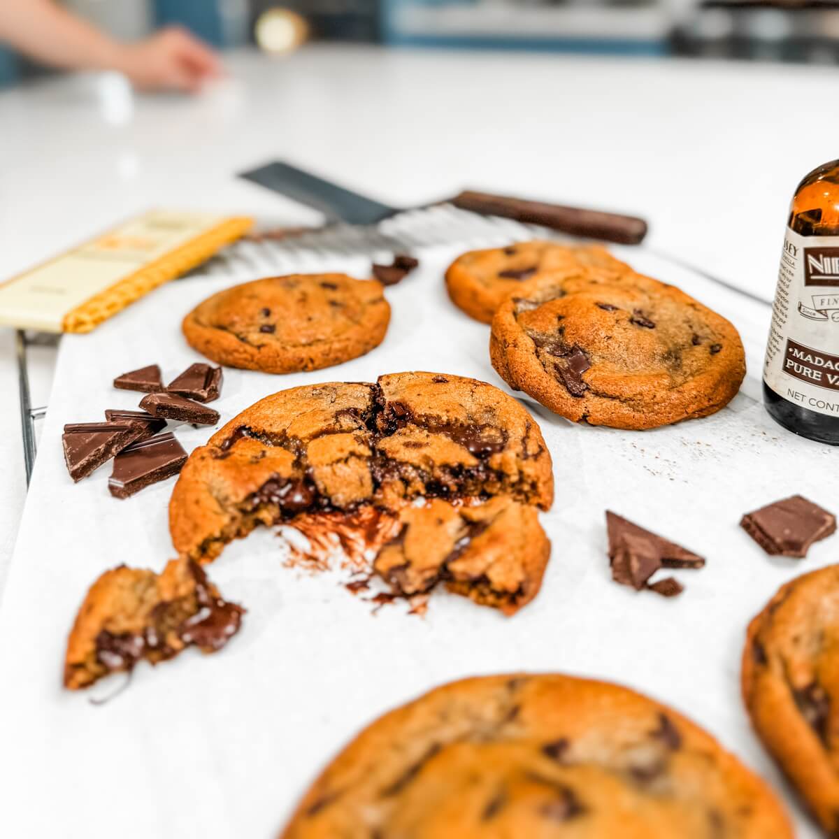 Chocolate Chip Cookie