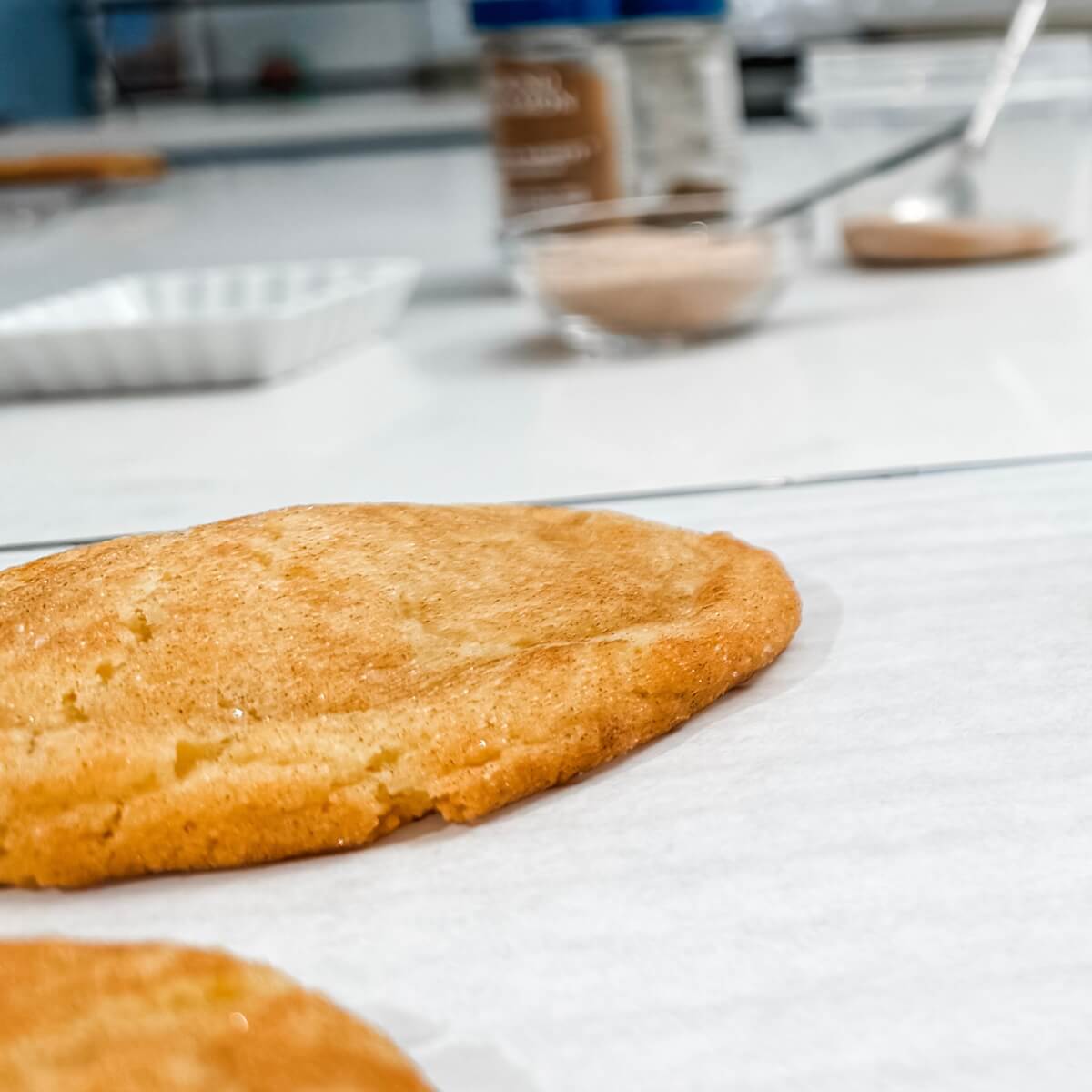 Snickerdoodle